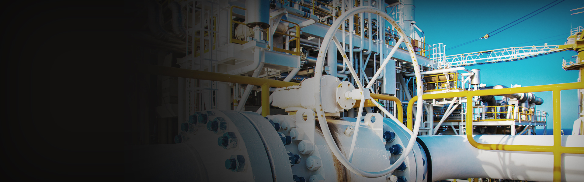 The Ultimate Process Valve